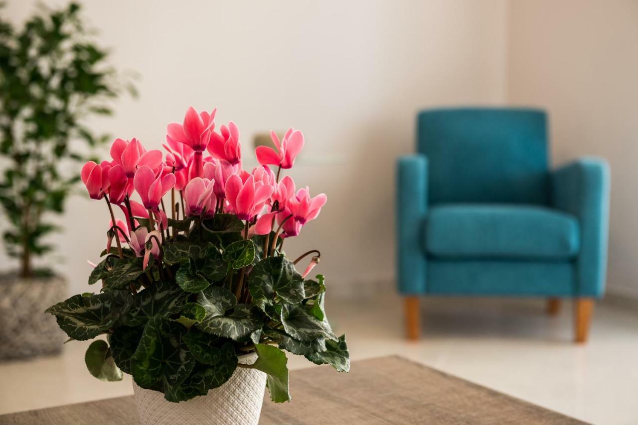 Apartment Jasmine Maleme